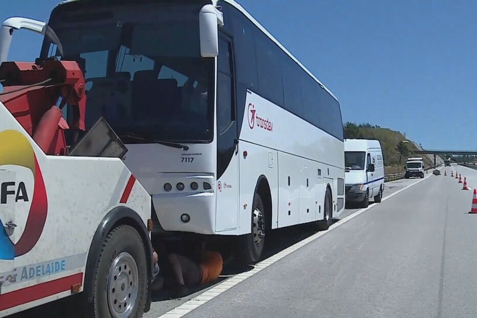 Autocarro com 55 crianças incendeia-se na A23 em Santarém 