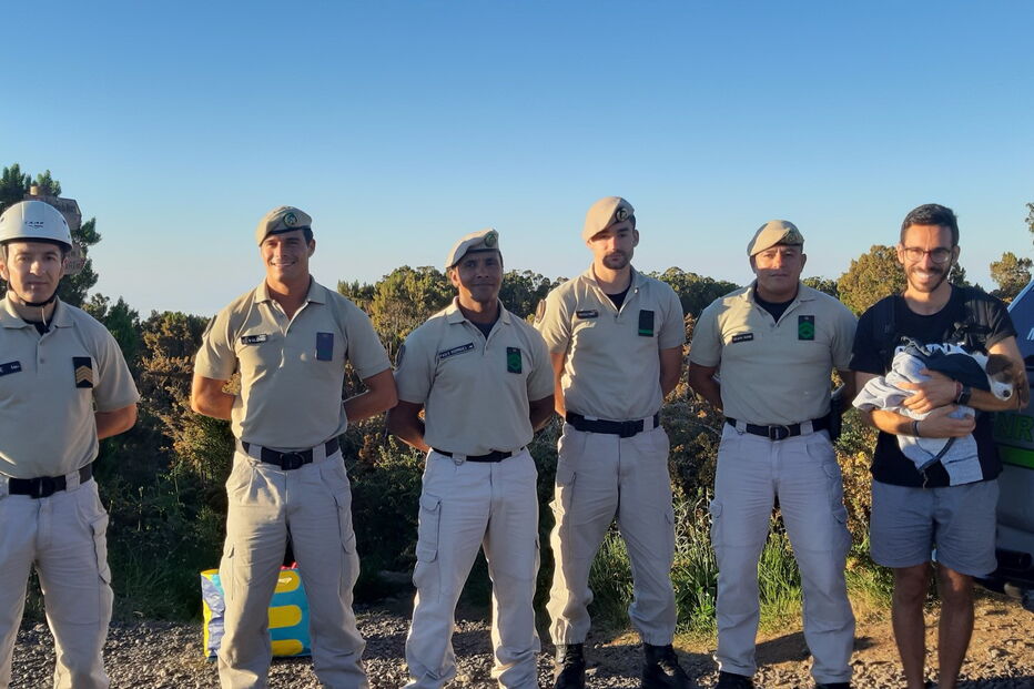 cão tem cerca de 2 meses de idade e não ficou com qualquer ferimento. Foi posteriormente entregue ao dono.