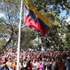 ONG regista 773 presos políticos e 8.615 pessoas com processos injustos na Venezuela