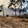 Mais de 40 bombeiros combatem fogo que consome zona de mato na Aroeira