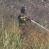 Incêndio consome zona de mato na Ameixoeira
