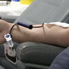 <![CDATA[ Instituto Português do Sangue repudia críticas da federação de dadores sobre campanha ]]>