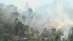 Dominado incêndio que mobilizou dez meios aéreos e mais de 200 bombeiros em Monchique