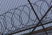 Cadastrado ataca cunhado à dentada e arranca parte das orelhas