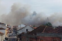 Chamas consomem zona de mato no Pinhal Novo