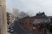 Chamas consomem zona de mato no Pinhal Novo