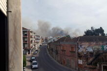 Chamas consomem zona de mato no Pinhal Novo