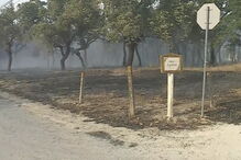  Chamas consomem zona de mato no Pinhal Novo