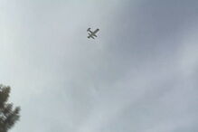  Chamas consomem zona de mato no Pinhal Novo