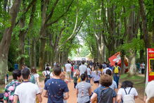 Serralves em Festa, evento já marcante no panorama cultural português, voltará no próximo ano