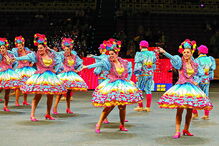 Marcha da Penha de França
