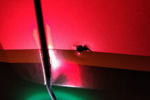 Militares da GNR atacados a tiro a caminho de operação Stop em Coimbra