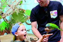 Adrien Silva descansa com a família no Algarve