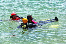 Iniciativa Mar Seguro