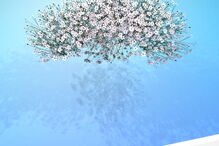 2019-06-18_17_39_04 FOTO 2  .jpg