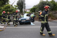 2019-06-19_12_10_27 M2-18616173.JPG