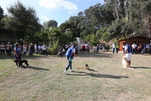 Quinta do Passal em Gondomar