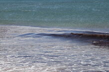 Praia de Carcavelos interdita a banhos devido a presença de algas