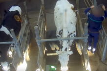 Centro de pesquisa defende que o objectivo é estuda a 