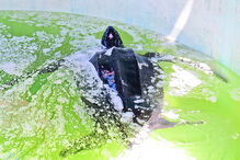 Tartaruga foi encontrada na Meia Praia e está a recuperar no Zoomarine 