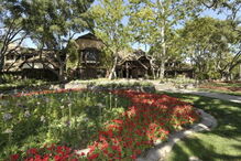 Rancho Neverland