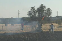 Incêndio coloca casas em risco em Évora