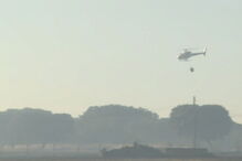 Incêndio coloca casas em risco em Évora