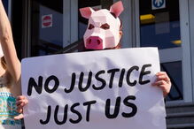 grupo de manifestantes dos direitos dos animais 