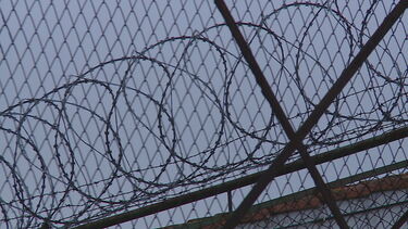 Cadastrado ataca cunhado à dentada e arranca parte das orelhas