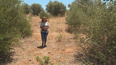 Imagens exclusivas mostram provas da PJ no homicídio de Rodrigo Lapa