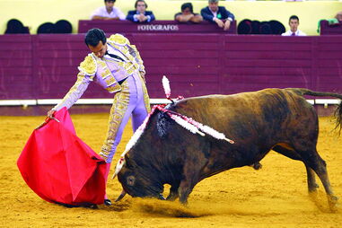 Homenagem a Joaquim Bastinhas vai acontecer no Campo Pequeno 