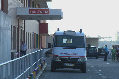 Criança mordida por víbora-cornuda em Penela está estável e a evoluir favoravelmente