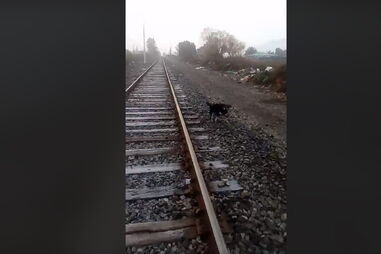 linha ferroviária