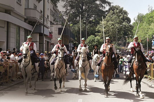 Festas populares em Viseu