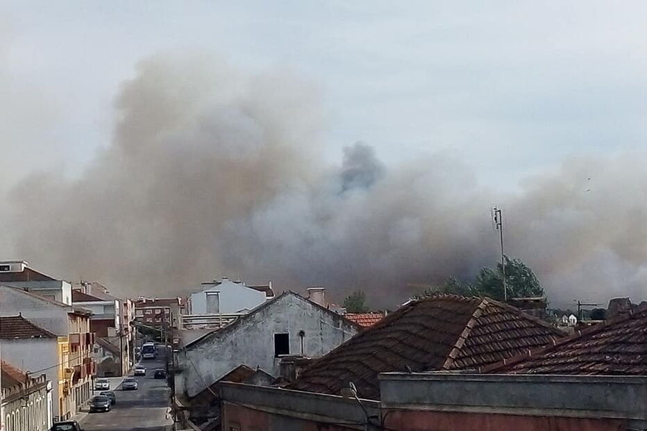 Chamas consomem zona de mato no Pinhal Novo