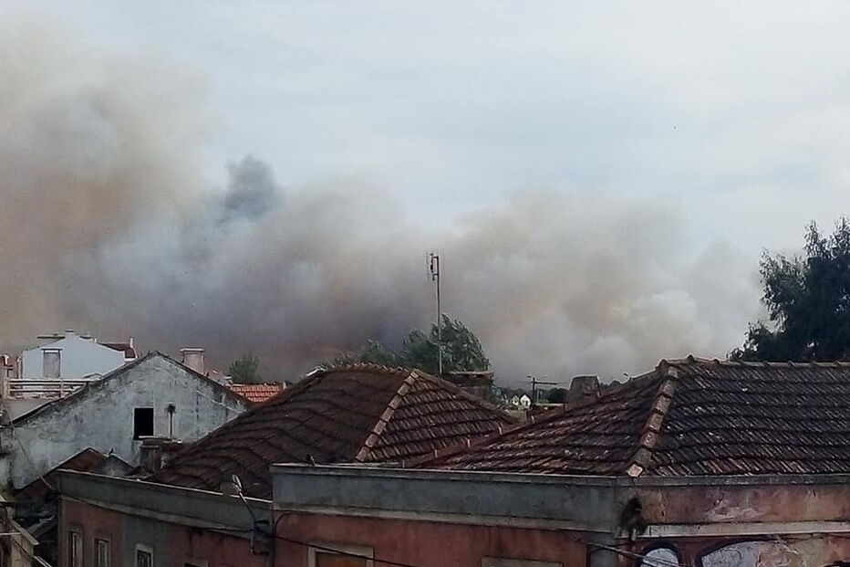 Chamas consomem zona de mato no Pinhal Novo