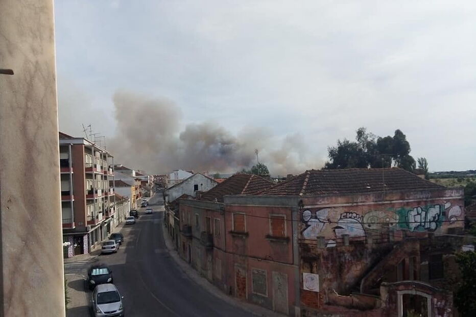 Chamas consomem zona de mato no Pinhal Novo