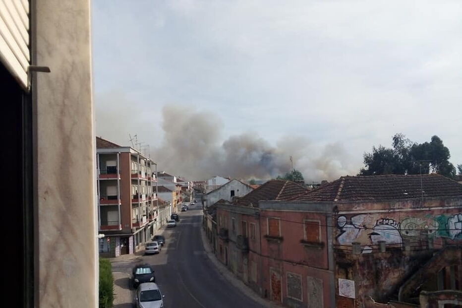 Chamas consomem zona de mato no Pinhal Novo
