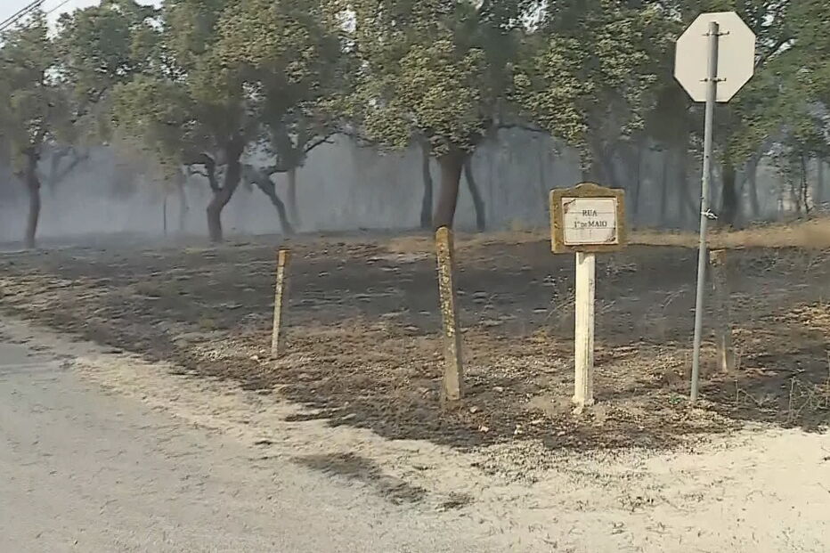  Chamas consomem zona de mato no Pinhal Novo