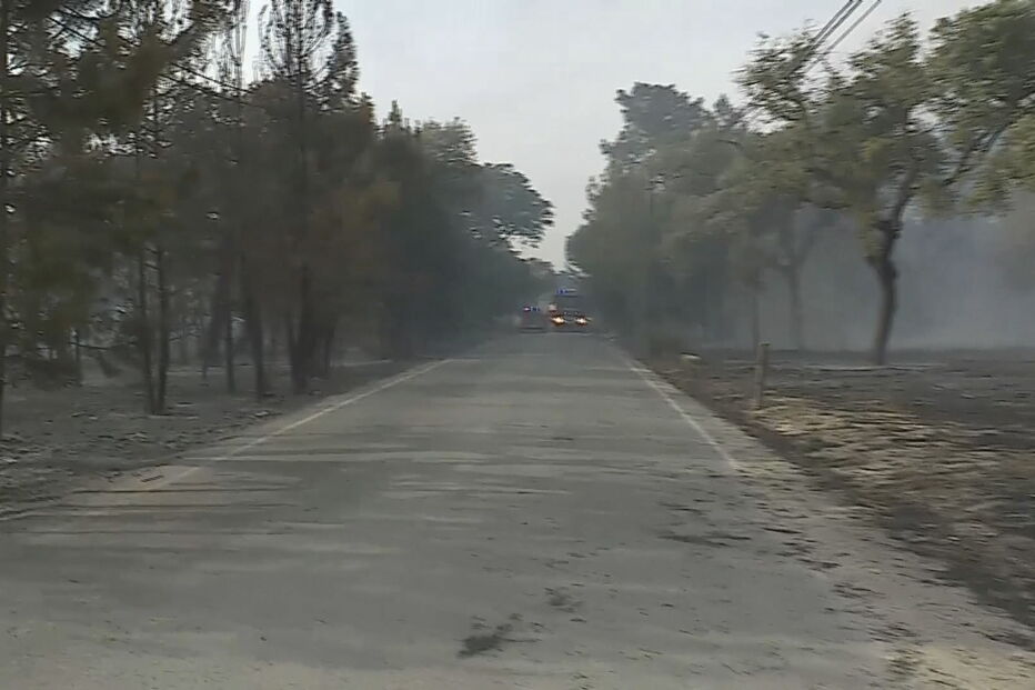  Chamas consomem zona de mato no Pinhal Novo