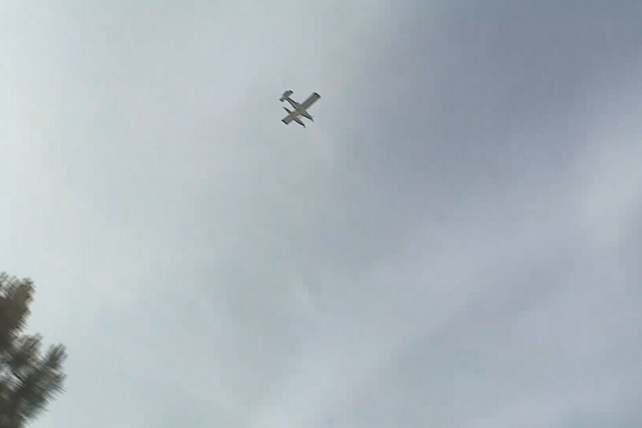  Chamas consomem zona de mato no Pinhal Novo