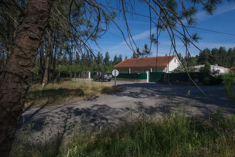 Crime ocorreu nas traseiras da casa, em Ilha, Pombal 