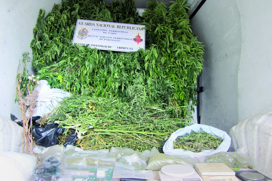Plantação de canábis foi apreendida pelo Núcleo de Investigação Criminal da GNR de Portimão, em 2013 