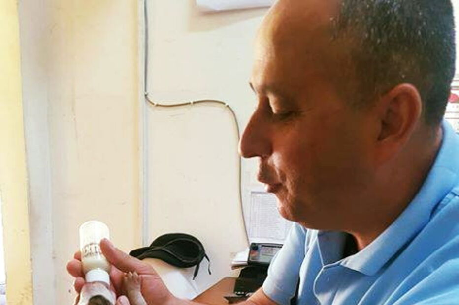 Militares prestaram os primeiros cuidados aos animais