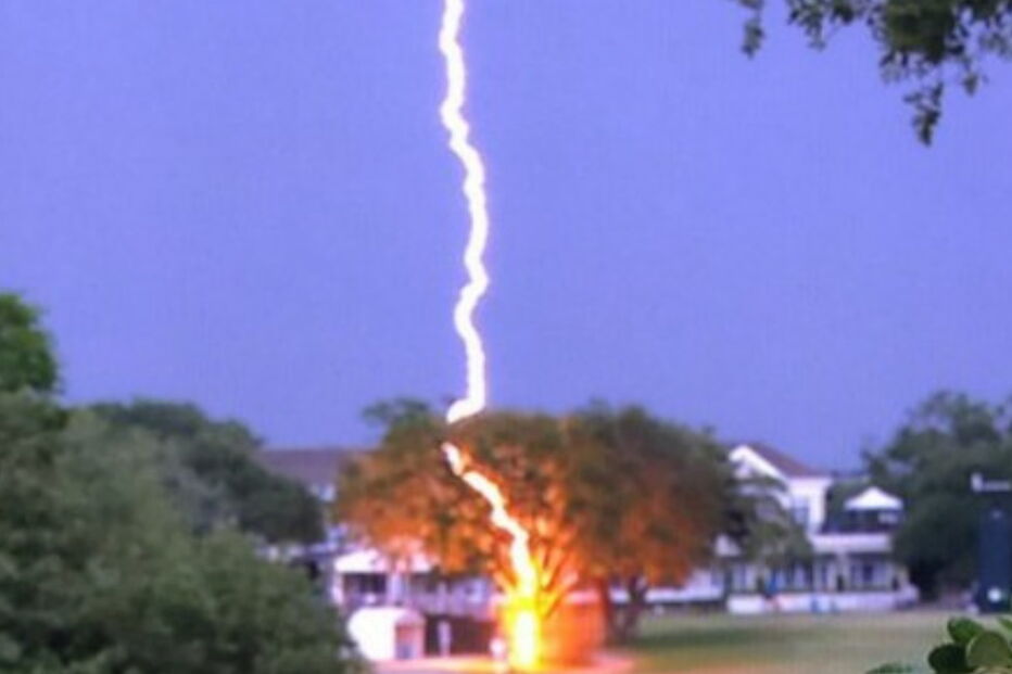 Raio racha árvore durante o US Open de golfe feminino nos Estados Unidosndos.jpg