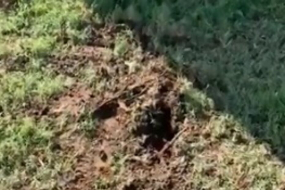 Raio racha árvore durante o US Open de golfe feminino nos Estados Unidos