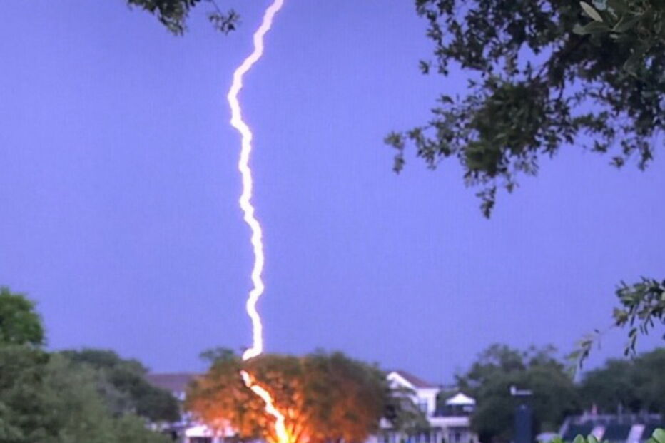 Raio racha árvore durante o US Open de golfe feminino nos Estados Unidos