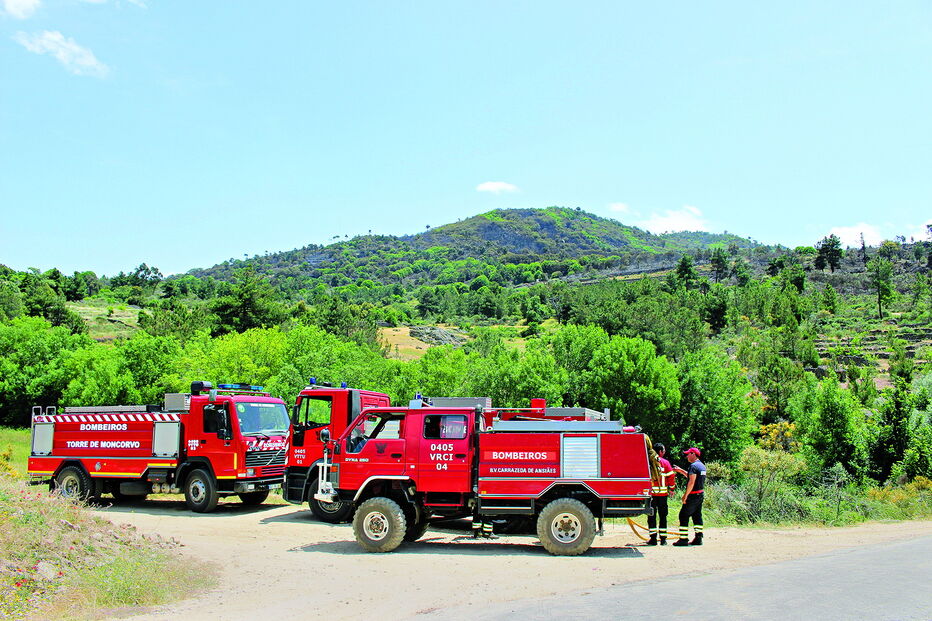 Bombeiro ficou ferido numa zona de difícil acesso no perímetro de um incêndio que começou em Carrazeda de Ansiães