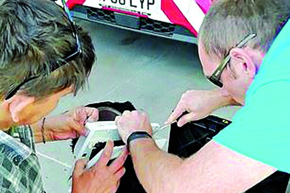 Labrador fica preso em porta para gatos e é salvo pelos Bombeiros