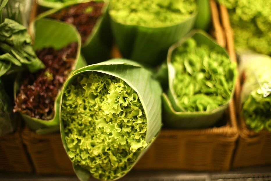 alimentos em folhas de bananeira 